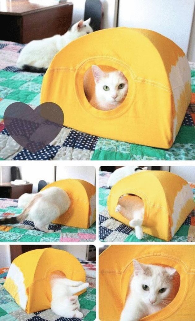 Котката ви ще хареса такава палатка