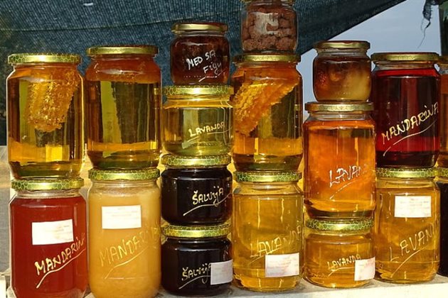 От 17 до 19 септември Варна ще бъде домакин на международен панаир. По време на събитието пчеларите ще могат да представят своите пчелни продукти. Крайната цел на панаира е включването на участниците в създаването на мрежа на производители на мед в страните от Черноморския басейн.