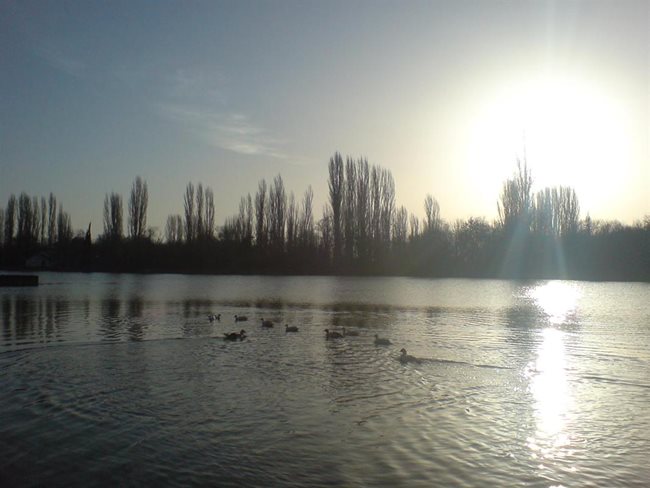 Снимала съм изгрева на слънцето над красивото езеро в Стара Загора.
Иглика Гускова
[ice_diamondche@abv.bg]


