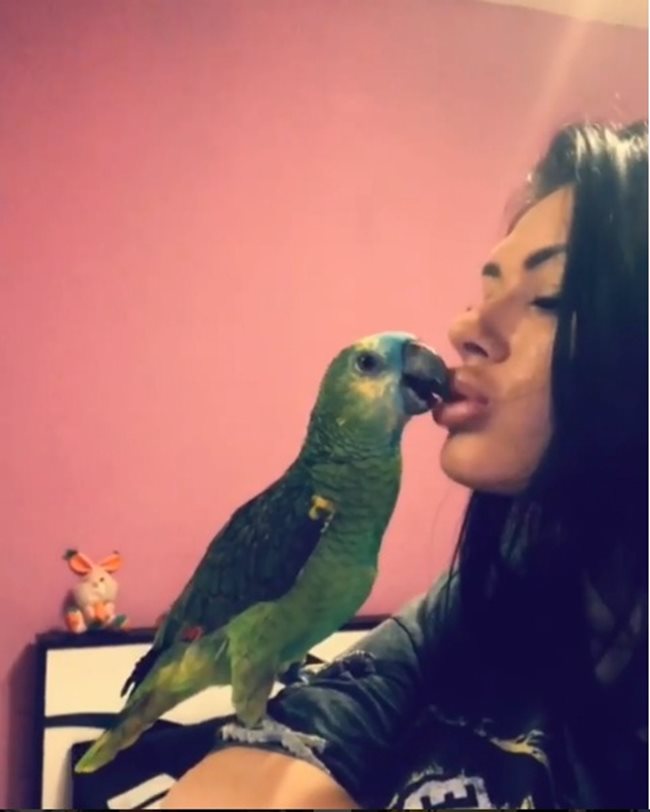 Силиконката се целува с птица
