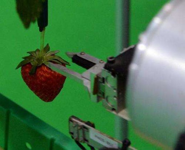 Рамото на манипулатора е снабдено с ножица за подрязване на горски плодове и три видеокамери за определяне зрелостта на плода