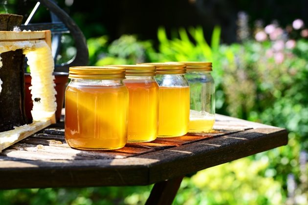 При правилно приложение на морската сол добивът на мед се увеличава с до 20%.