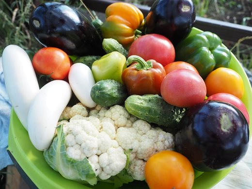 Плодове и зеленчуци поскъпват на борсите през седмицата