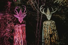 Вълшебна градина със 130 светлинни чудеса в София
