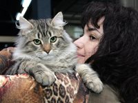Котешки хороскоп: коя писана е за вас