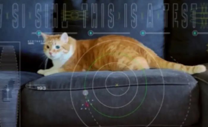 Кадър от 15-секундното видео на НАСА с котката Татърс