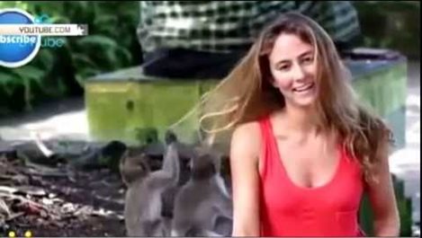 Маймуни събличат красиви девойки (Видео)