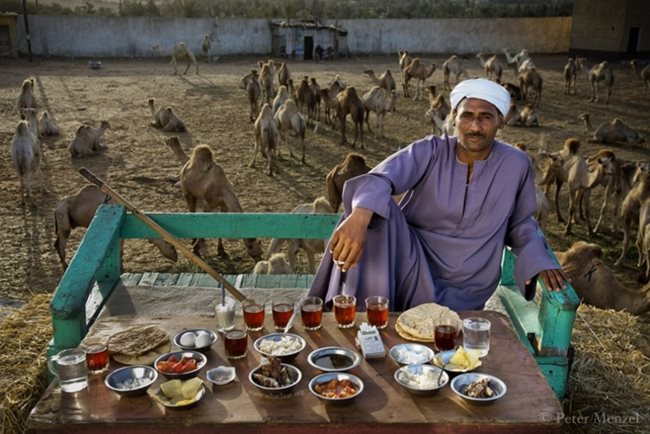 Сале Абдул Фадлили, продавач на камили от Кайро, Египет. Снимки: menzelphoto.photoshelter.com