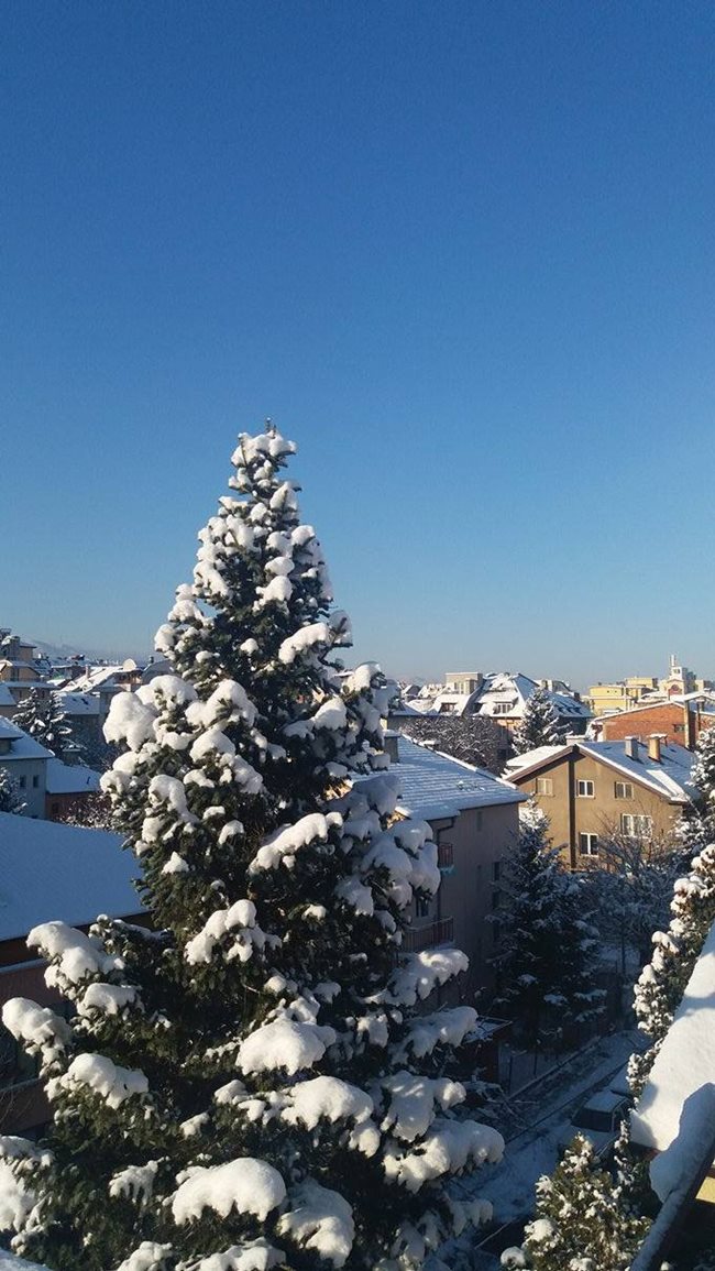 Днес над София е ясно и слънчево. Снимка: 24 онлайн