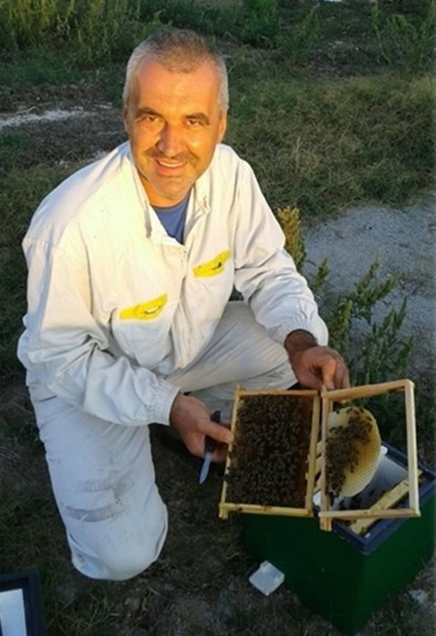 Сега Пламен притежава пчелини в с. Вълчин, с. Ведрово, с. Сигмен и с. Драганци. Всичките му кошери са с палетна основа - ноу-хау от САЩ, тип "Фарар", 8- и 10-рамкови. Пчелините над 10 години са биосертифицирани съгласно Раздел VIII на Наредбата за биологичното производство на животни, животински продукти и храни от животински произход.