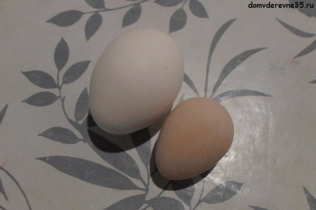 Яйцата на токачката (вдясно) тежат 43-45 г
