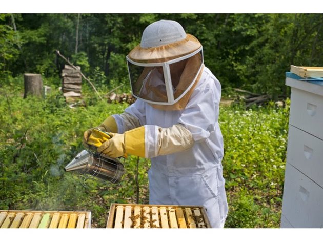 Споделянето на пчеларски опит е изключително ценно за подобряване на работата с пчелите