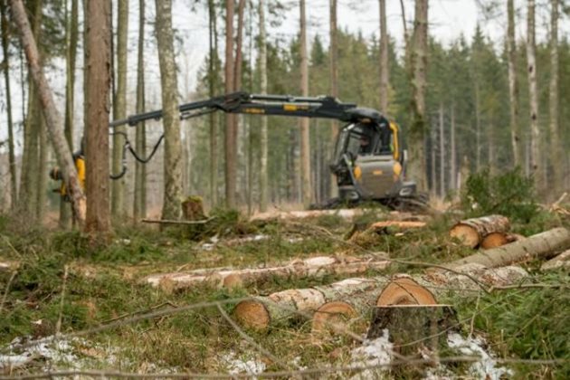 Ново специално отношение се очаква към горите и ползването на дървесината от тях