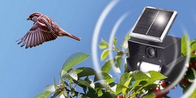 Вече има и по-модерни електронни устройства и птицегони, които се продават, за да прогонват птици