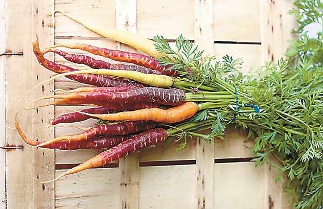 Разнообразете реколтата от моркови, засейте различни цветове