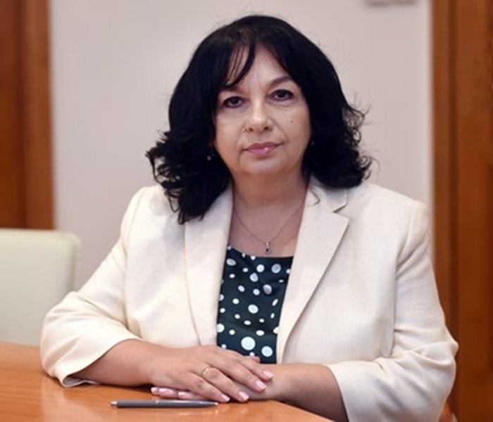 Министърът на енергетиката Теменужка Петкова