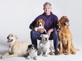 Съветите на Сизър Милан - говорещият с кучета