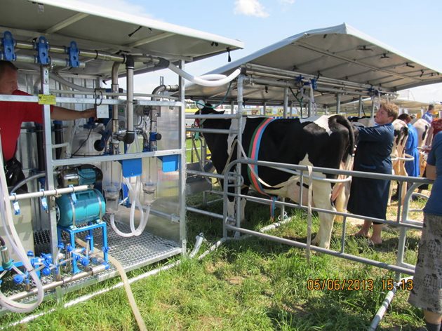 Съвременни мобилни доилни системи дават възможност за получаване на мляко направо на пасището