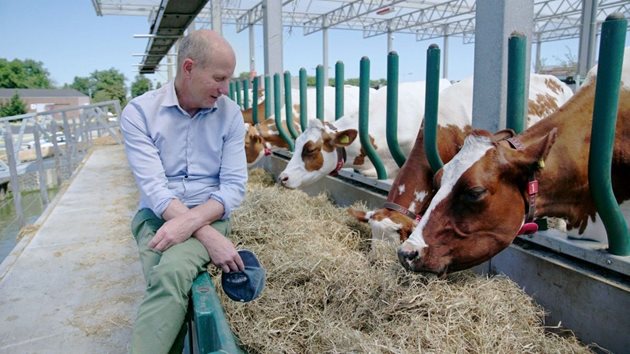 Кравите не страдат от морска болест, казва Питър ван Вингерден
