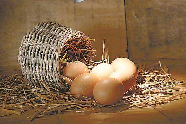 Черупката на яйцата от токачки е 3 пъти по-здрава от пилешките, а свежестта на яйцата се запазва 6 месеца. А по отношение на състава и количеството на хранителните вещества яйцата са с пъти по-големи от пилешките.