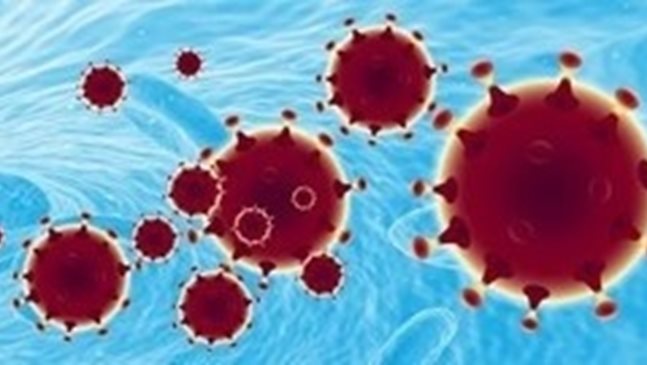 В Китай не са регистрирали вътреутробно предаване на коронавируса