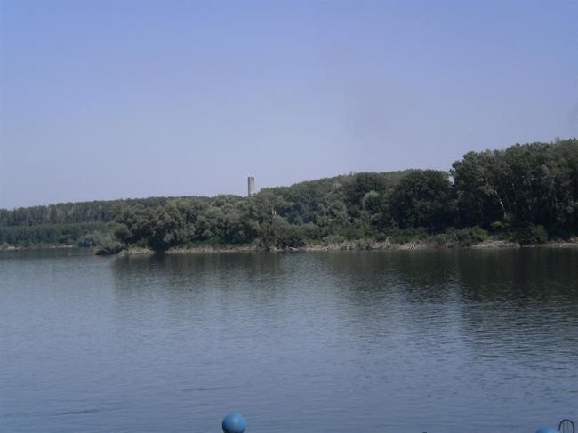 Изпратих снимка на красивия крайдунавски град, в който живея - Видин. Вижте какъв зелен е брегът, погледнат откъм реката. 
Стефани Петрова, 15 год.,Видин 
[stef941993@abv.bg]

