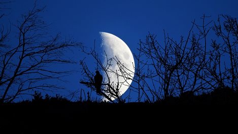 Какво ни носи Луната в Овен
