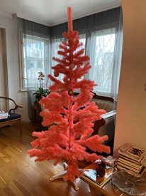 Тази Коледа с розова елха