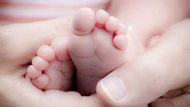 Учени създадоха синтетични човешки ембриони без яйцеклетки и сперма
