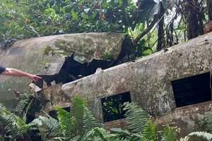 Проф. Николай Овчаров попаднал на разбит самолет в австралийската джунгла