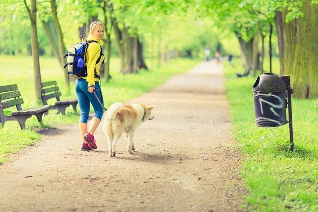 Преди да предприемете продължителна разходка в парка, напръскайте с подходящ противопаразитен препарат лапите и тялото на кучето