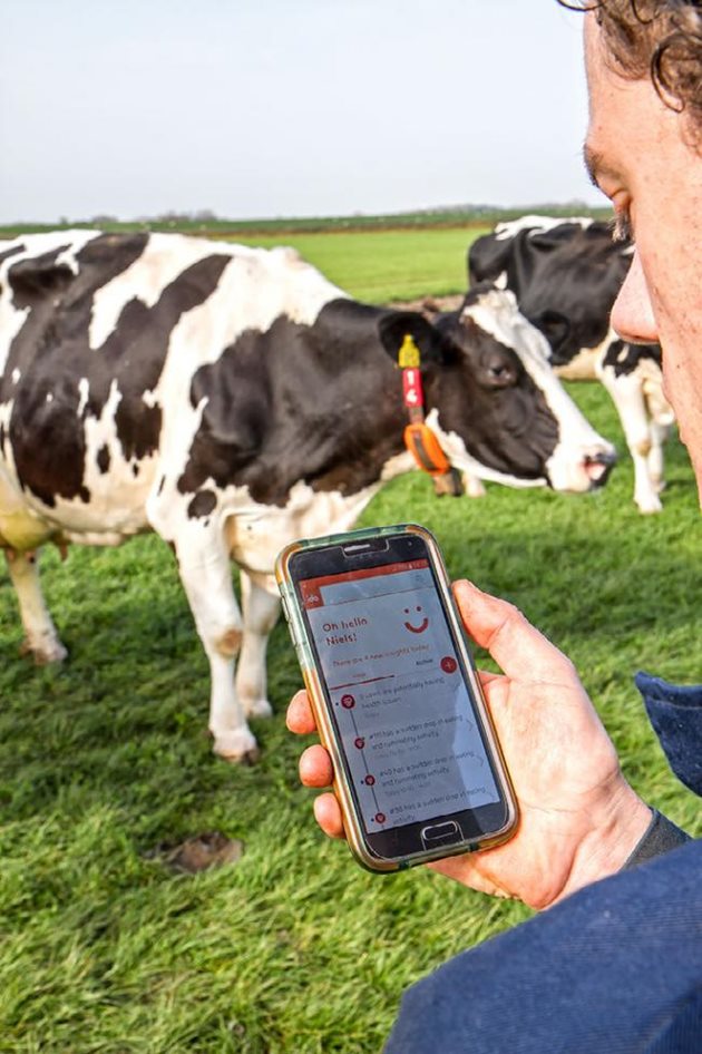 Успоредно с биометричните сензори се развива и видеонаблюдението на стадата Снимка: The Scottish Farmer