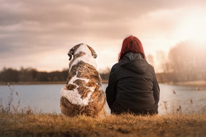 Кучетата са станали най-добрият приятел на човека заради антистрес ген