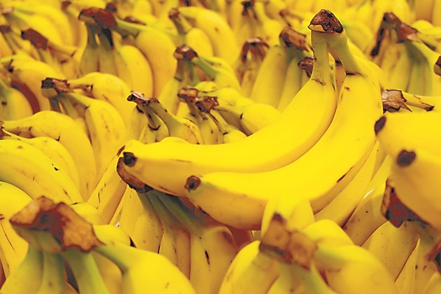  Секторът за износ на банани в Латинска Америка изисква споделена отговорност между всички участници във веригата на доставки, от производителя до крайния потребител през супермаркети и други посредници, което се превръща в първия и най-ефективен механизъм за гарантиране на устойчивостта на глобалната бананова индустрия