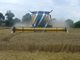 Зърнопроизводители: Никой не ни купува житото заради вноса на украинско