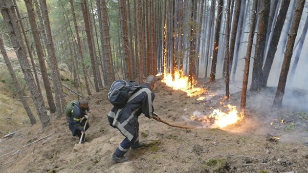 Горски служители подготовят на почвата за залесяване на част от изгорелите при пожара в Кресненското дефиле гори. Снимка: Архив