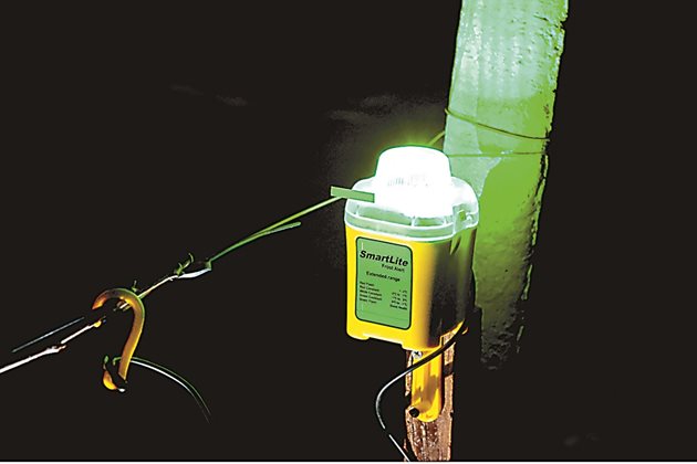 Сигнална лампа за предупреждаване за опасност от слана на Horti Smart Solutions