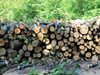 Цената на дървесината спрямо миналата година се е увеличила над два пъти
