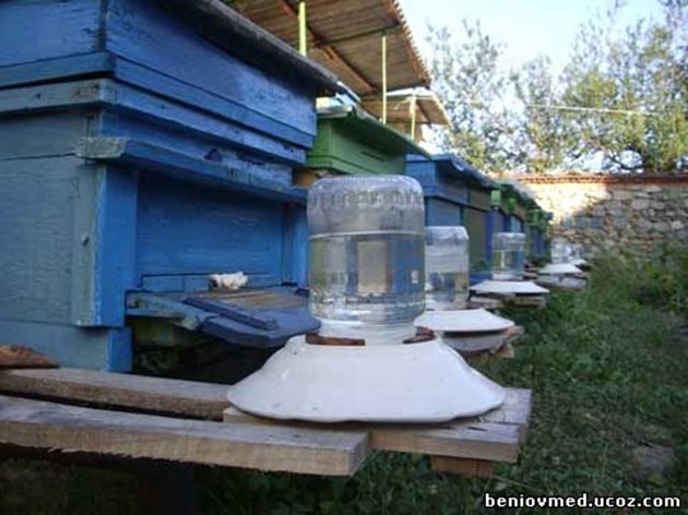 Пчелите обичат хладка вода, затова поилката се поставя на слънчево и тихо място, за да може водата да се затопля от слънцето. Поилката трябва да се зарежда с чиста вода.
