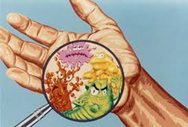 По ръцете ни има най-различни микроби