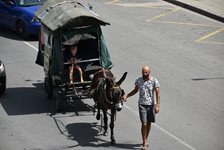 Семейство с 4 деца пътува с магарешка каруца от Франция за Палестина, мина и през България (Снимки)
