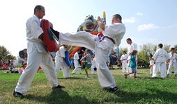 Три безплатни тренировки по бойни изкуства на седем места в страната