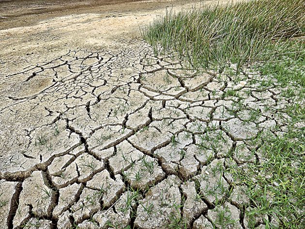Почти една четвърт от всички напоявани земеделски земи са засегнати от засоляване. Повишаването на морското равнище, все по-честото засушаване и повишаването на температурите изострят този проблем.