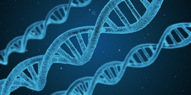 Напредък в редактирането на гени ще позволи да се лекуват нелечими заболявания, като диабет и мускулна дистрофия, сочат резултатите от изследване. СНИМКА: Pixabay