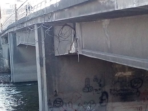 Дърво поникна в най-важния мост на Асеновград. Кой ще го ремонтира?