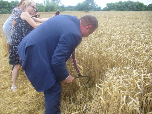 Земеделският министър Иван Иванов показа в Боздуганово, че умее да върти сърпа и паламарката и ожъна няколко ръкойки по време на церемонията за официалния старт на тазгодишната жътва