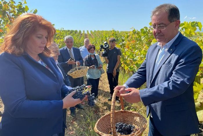 Вицепрезидентът Йотова и министър Бозуков откриха гроздобера в Мелнишко.