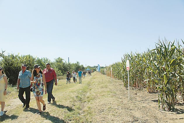 Фермери от района на Димитровград, Хасково и Стара Загора се запознаха с хибридите на Pioneer, представени на демополето на кооперация „Раковски“