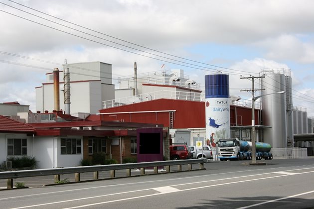 Млекопрерабтвателният завод на най-малката новозеландска кооперация Tatua в Моринсвил се е специализирал в производството на висококачествено сухо мляко и млечни компоненти, 94% от които са за износ Снимки: NZFarmer.co.nz