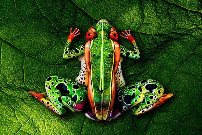Дървесна жаба върху пет тела на Йоханес Щьотер, световен шампион за 2012 г.